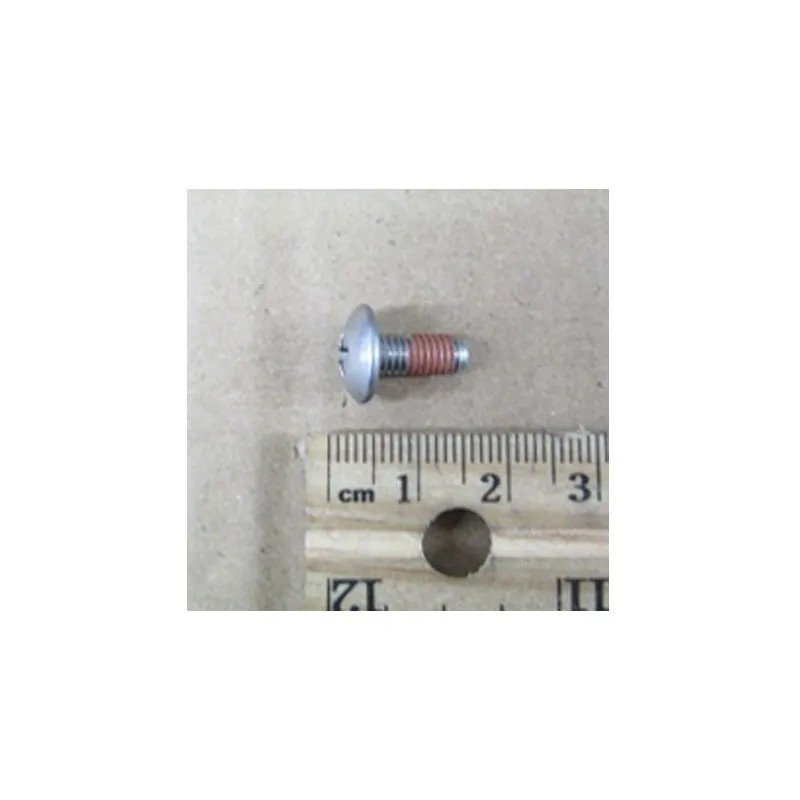 Samsung SCREW-MACHINE TH,+,M5,L12,PASS,STS304,2 spare parts