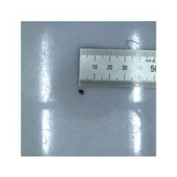 Ricambi Samsung RUBBER-PCB 2 per GALAXY GEAR FIT2