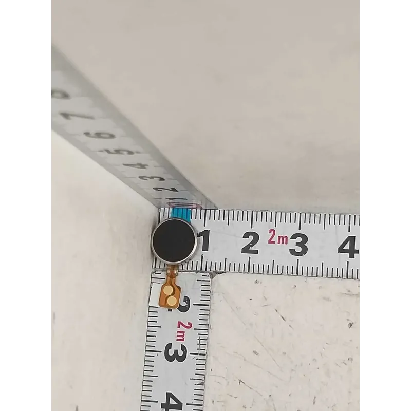 Vibrador Samsung Galaxy Tab S7 GH31-00787A