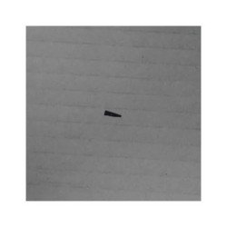 Peças de reposição Samsung FET-SILICON GALAXY A12 2021 SM-A127F