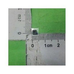 Ricambi Samsung ASSY RUBBER-MIC_AMO per GALAXY NOTE 10 PLUS