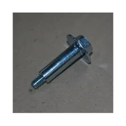 Ricambi Samsung BULLONE ESAGONALE; M6, L43.6, ZPC (ARGENTO), HH, PRESA
