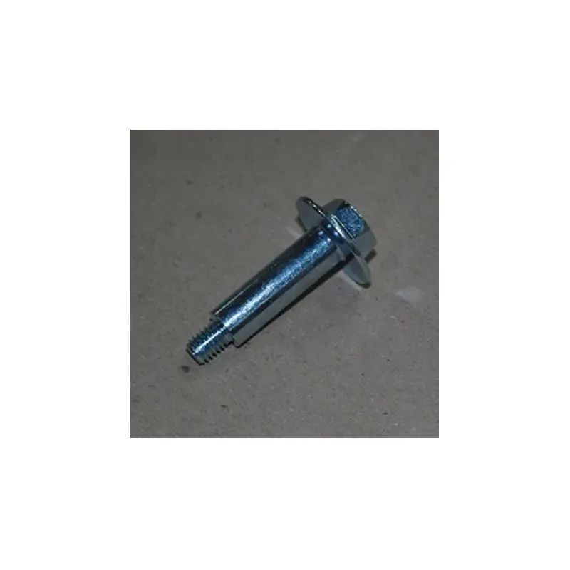 Ricambi Samsung BULLONE ESAGONALE; M6, L43.6, ZPC (ARGENTO), HH, PRESA