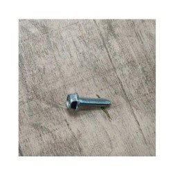 Ricambi Samsung BULLONE ESAGONALE; M6, L24, ZPC (Bianco), HWH, SWRCH18A, HW