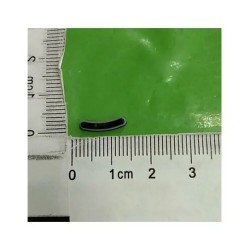 Ricambi Samsung ASSY COVER-POGO WHATCH ACTIVE